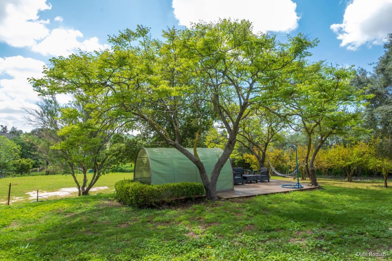 Villa Amikam Meshek 81 משק 81 עמיקם Exterior foto